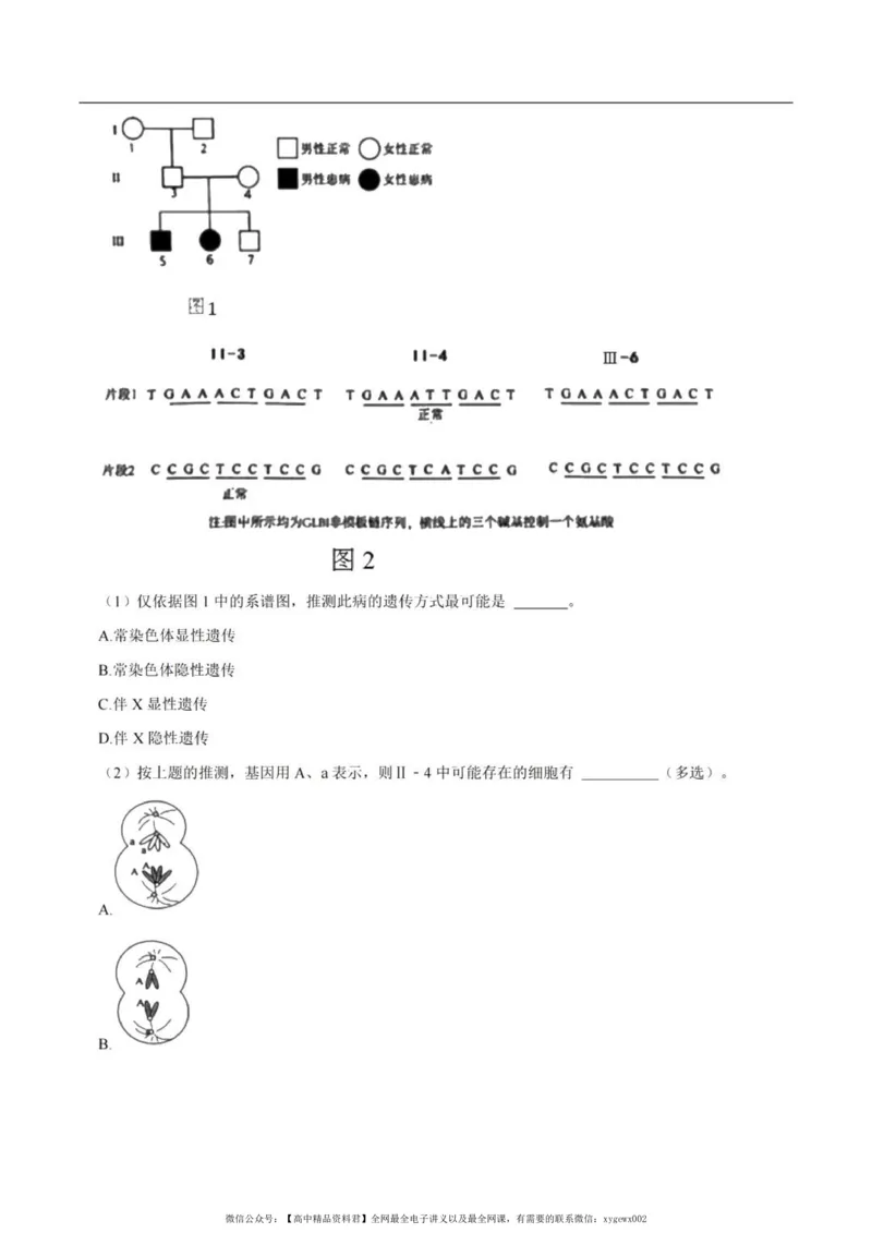 2024上海生物等级考考前必刷信息卷5含解析_2024高考押题卷_62024学科网全系列_2024年高考考前信息必刷卷_（上海）信息必刷卷_2024上海生物等级考考前必刷信息卷（1-5）