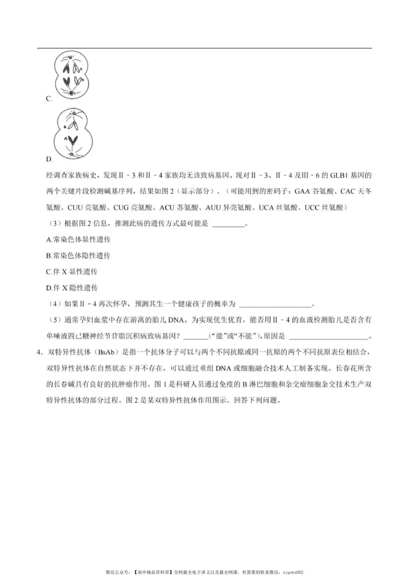 2024上海生物等级考考前必刷信息卷5含解析_2024高考押题卷_62024学科网全系列_2024年高考考前信息必刷卷_（上海）信息必刷卷_2024上海生物等级考考前必刷信息卷（1-5）