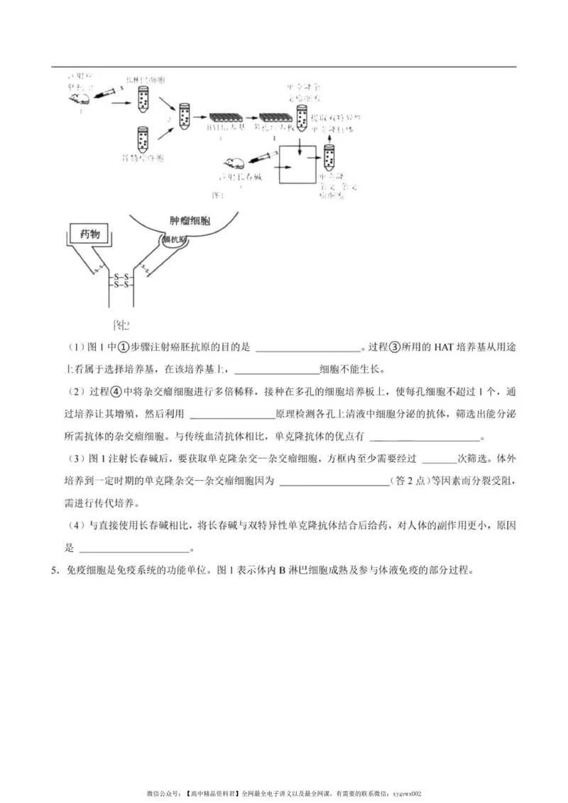 2024上海生物等级考考前必刷信息卷5含解析_2024高考押题卷_62024学科网全系列_2024年高考考前信息必刷卷_（上海）信息必刷卷_2024上海生物等级考考前必刷信息卷（1-5）