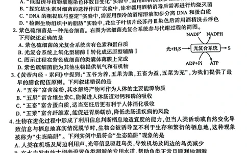 厦门市2025届高三毕业班第四次质量检测-生物试卷_2025年5月_250512福建省厦门市2025届高三毕业班第四次质量检测（全科）_厦门市2025届高三毕业班第四次质量检测-生物