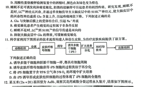 厦门市2025届高三毕业班第四次质量检测-生物试卷_2025年5月_250512福建省厦门市2025届高三毕业班第四次质量检测（全科）_厦门市2025届高三毕业班第四次质量检测-生物