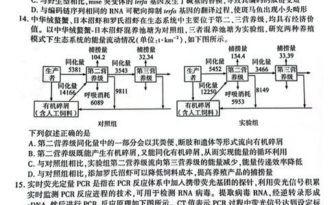 厦门市2025届高三毕业班第四次质量检测-生物试卷_2025年5月_250512福建省厦门市2025届高三毕业班第四次质量检测（全科）_厦门市2025届高三毕业班第四次质量检测-生物