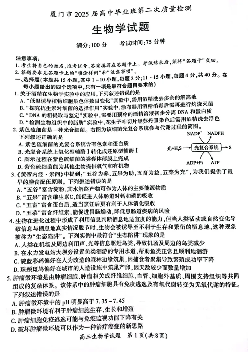 厦门市2025届高三毕业班第四次质量检测-生物试卷_2025年5月_250512福建省厦门市2025届高三毕业班第四次质量检测（全科）_厦门市2025届高三毕业班第四次质量检测-生物