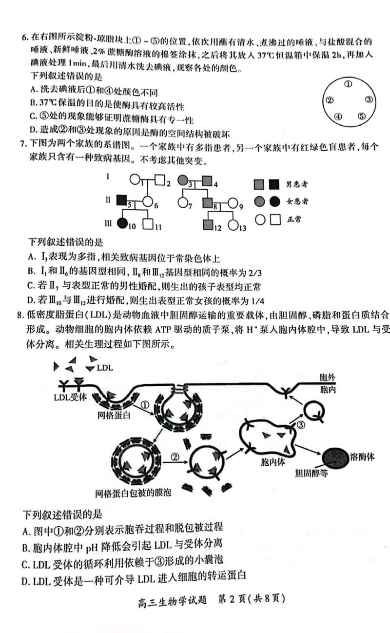 厦门市2025届高三毕业班第四次质量检测-生物试卷_2025年5月_250512福建省厦门市2025届高三毕业班第四次质量检测（全科）_厦门市2025届高三毕业班第四次质量检测-生物