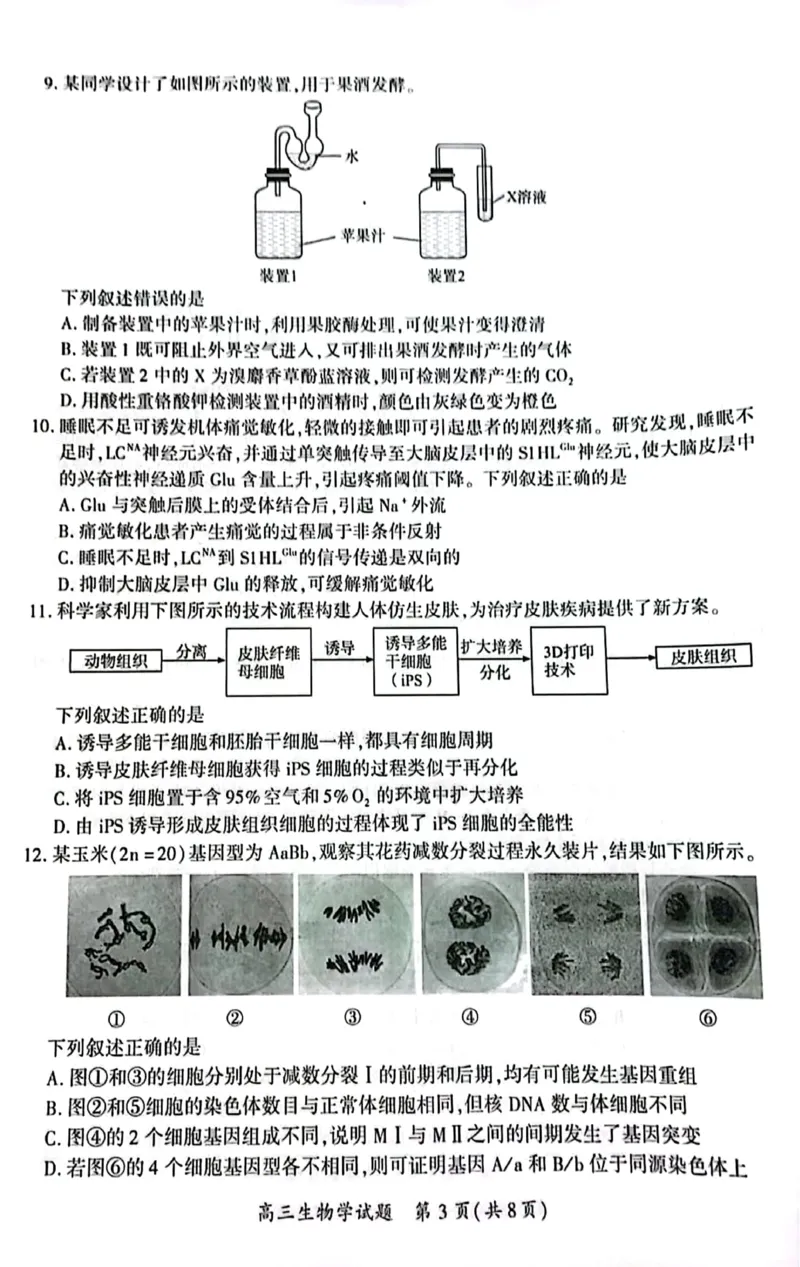 厦门市2025届高三毕业班第四次质量检测-生物试卷_2025年5月_250512福建省厦门市2025届高三毕业班第四次质量检测（全科）_厦门市2025届高三毕业班第四次质量检测-生物