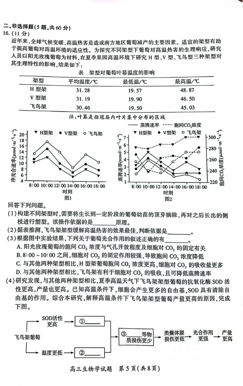 厦门市2025届高三毕业班第四次质量检测-生物试卷_2025年5月_250512福建省厦门市2025届高三毕业班第四次质量检测（全科）_厦门市2025届高三毕业班第四次质量检测-生物
