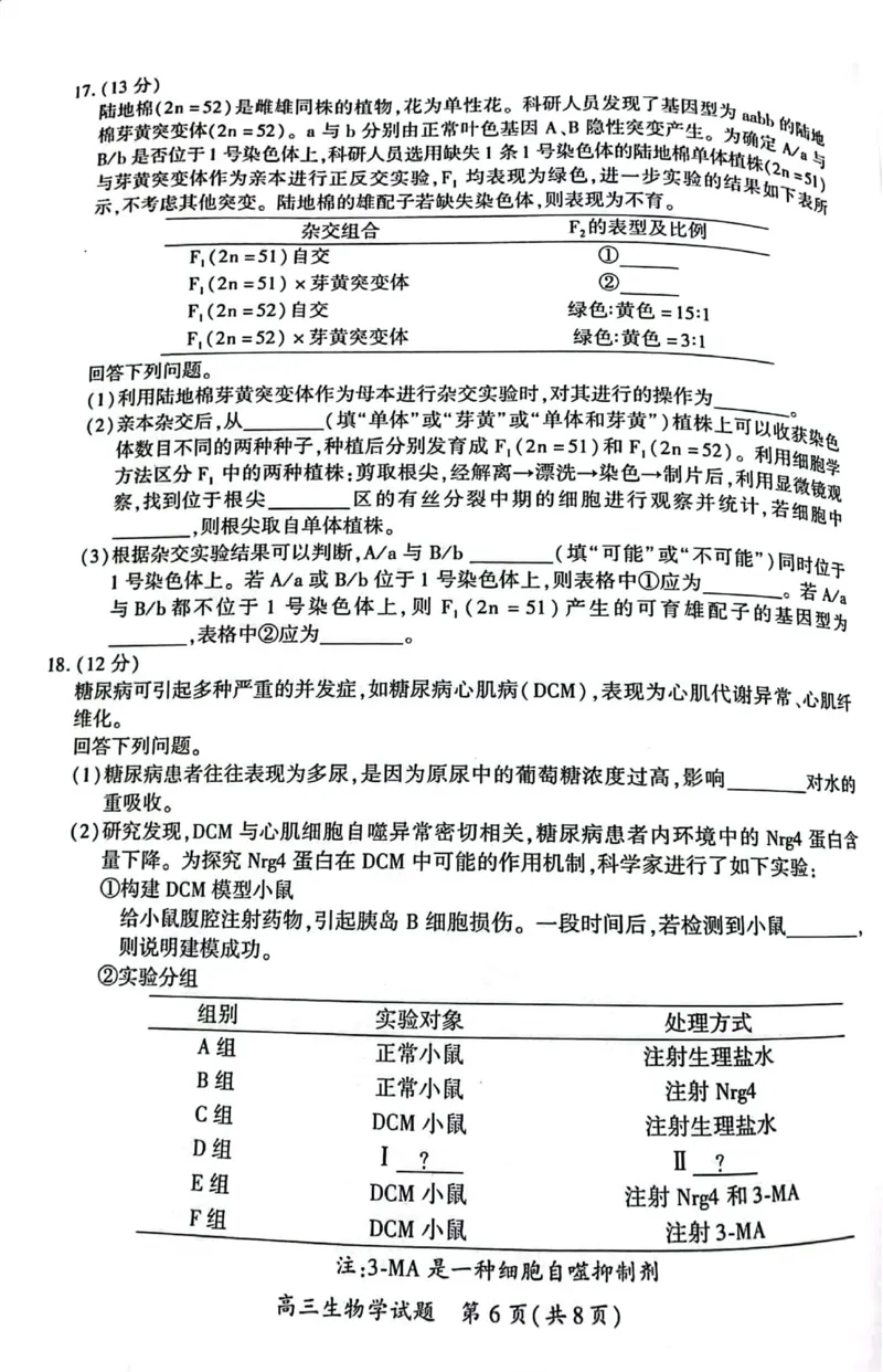 厦门市2025届高三毕业班第四次质量检测-生物试卷_2025年5月_250512福建省厦门市2025届高三毕业班第四次质量检测（全科）_厦门市2025届高三毕业班第四次质量检测-生物