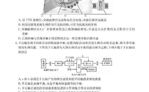 广东省2025届高三下学期&ldquo;百日冲刺&rdquo;联合学业质量监测生物试题+答案_2025年2月_250222广东省2025届高三下学期&ldquo;百日冲刺&rdquo;联合学业质量监测（全科）