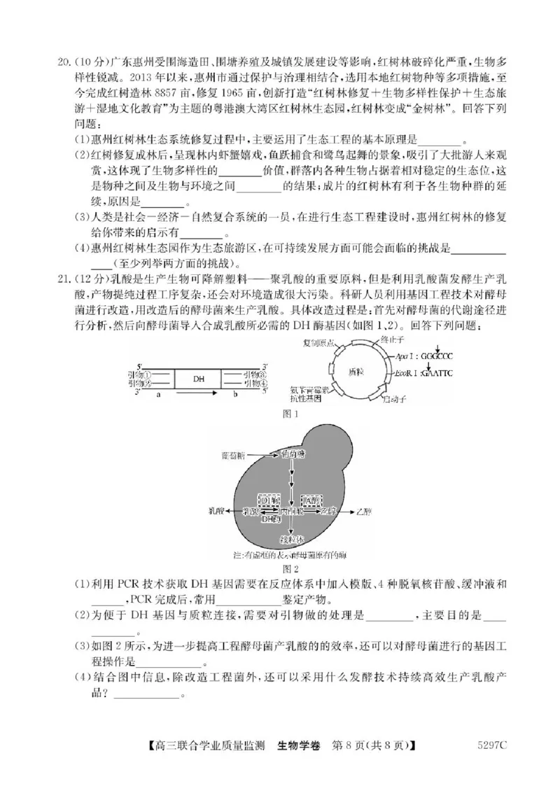 广东省2025届高三下学期&ldquo;百日冲刺&rdquo;联合学业质量监测生物试题+答案_2025年2月_250222广东省2025届高三下学期&ldquo;百日冲刺&rdquo;联合学业质量监测（全科）