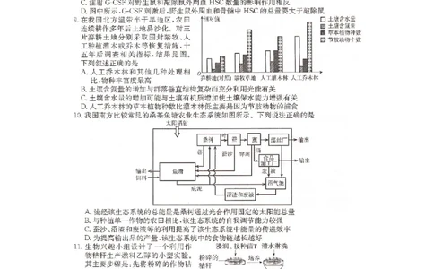 湖南省2025届普通高中名校联考信息卷（模拟一）生物_2025年3月_250331湖南省2025届普通高中名校联考信息卷（模拟一）（全科）_湖南省2025届普通高中名校联考信息卷（模拟一）生物