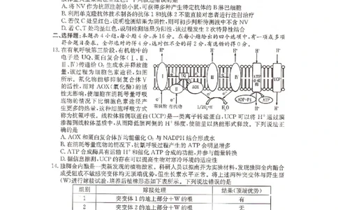 湖南省2025届普通高中名校联考信息卷（模拟一）生物_2025年3月_250331湖南省2025届普通高中名校联考信息卷（模拟一）（全科）_湖南省2025届普通高中名校联考信息卷（模拟一）生物