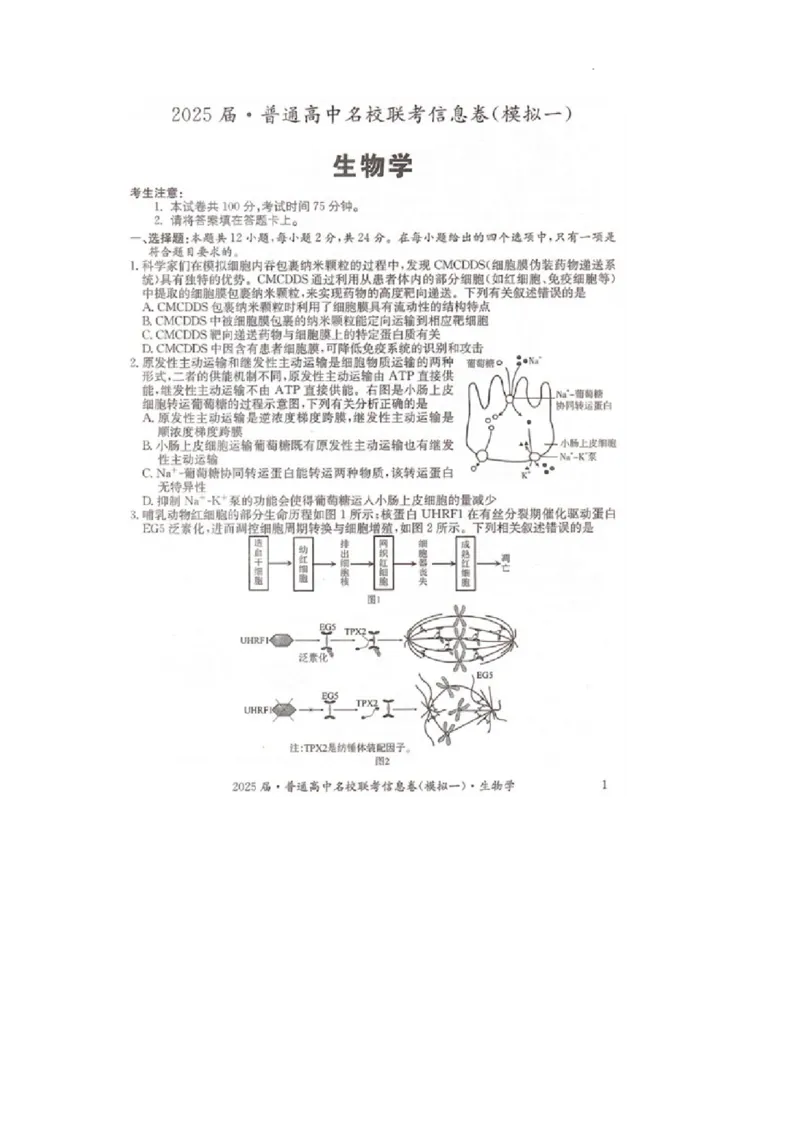 湖南省2025届普通高中名校联考信息卷（模拟一）生物_2025年3月_250331湖南省2025届普通高中名校联考信息卷（模拟一）（全科）_湖南省2025届普通高中名校联考信息卷（模拟一）生物