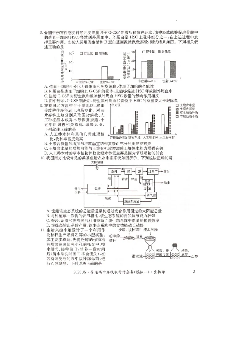 湖南省2025届普通高中名校联考信息卷（模拟一）生物_2025年3月_250331湖南省2025届普通高中名校联考信息卷（模拟一）（全科）_湖南省2025届普通高中名校联考信息卷（模拟一）生物