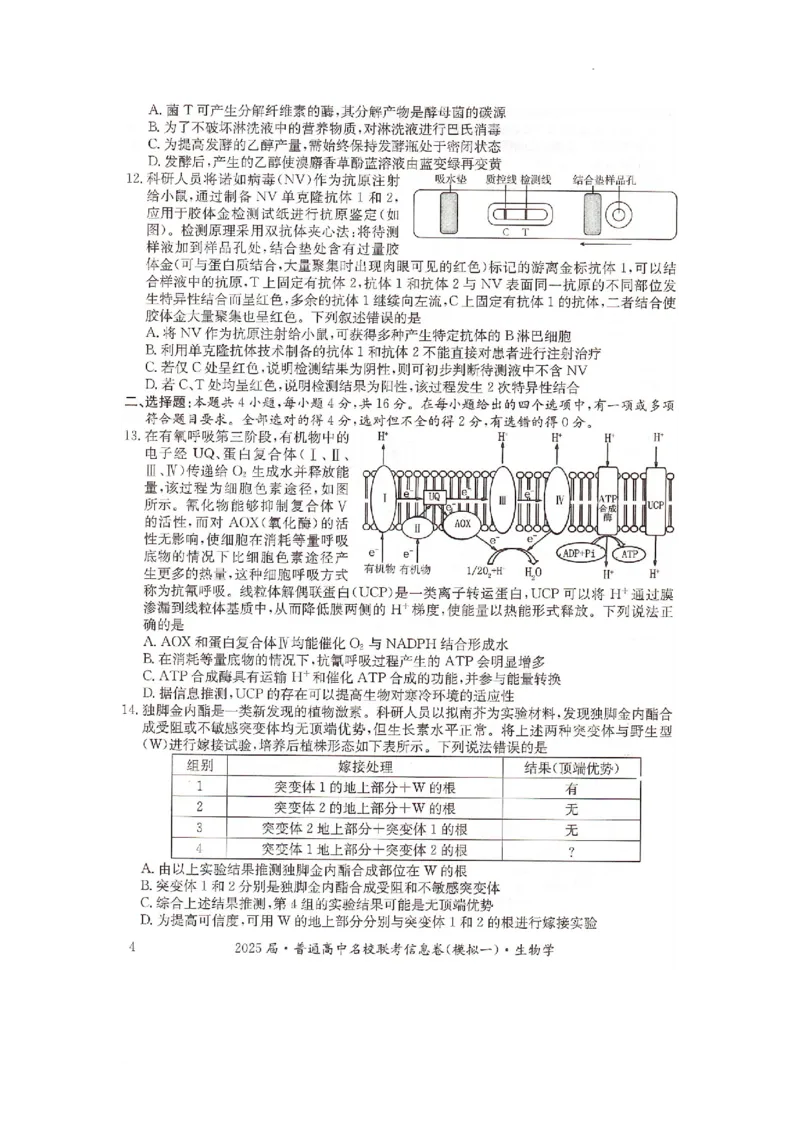 湖南省2025届普通高中名校联考信息卷（模拟一）生物_2025年3月_250331湖南省2025届普通高中名校联考信息卷（模拟一）（全科）_湖南省2025届普通高中名校联考信息卷（模拟一）生物