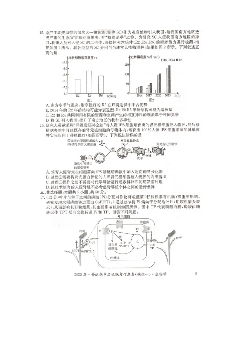 湖南省2025届普通高中名校联考信息卷（模拟一）生物_2025年3月_250331湖南省2025届普通高中名校联考信息卷（模拟一）（全科）_湖南省2025届普通高中名校联考信息卷（模拟一）生物