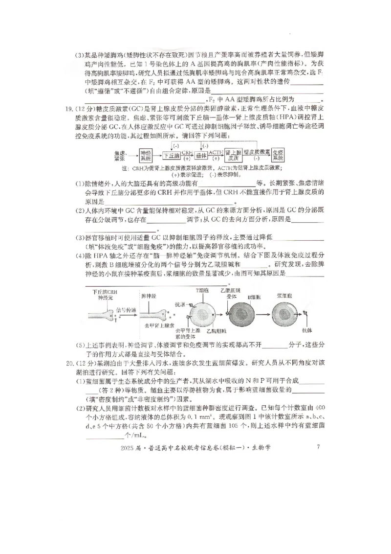 湖南省2025届普通高中名校联考信息卷（模拟一）生物_2025年3月_250331湖南省2025届普通高中名校联考信息卷（模拟一）（全科）_湖南省2025届普通高中名校联考信息卷（模拟一）生物