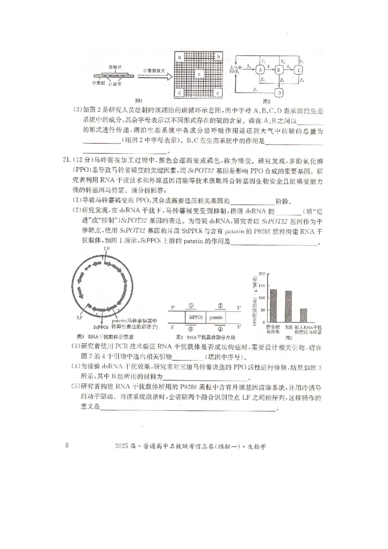 湖南省2025届普通高中名校联考信息卷（模拟一）生物_2025年3月_250331湖南省2025届普通高中名校联考信息卷（模拟一）（全科）_湖南省2025届普通高中名校联考信息卷（模拟一）生物