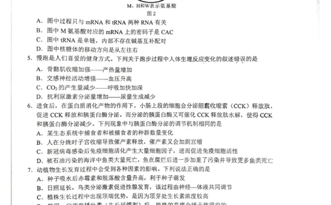 广西省柳州市2025届高三第三次模拟考试生物+答案_2025年3月_250330广西省柳州市2025届高三第三次模拟考试（柳州三模）（全科）