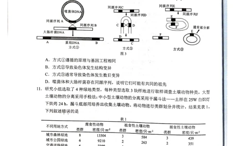 广西省柳州市2025届高三第三次模拟考试生物+答案_2025年3月_250330广西省柳州市2025届高三第三次模拟考试（柳州三模）（全科）