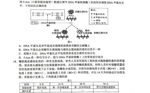 广西省柳州市2025届高三第三次模拟考试生物+答案_2025年3月_250330广西省柳州市2025届高三第三次模拟考试（柳州三模）（全科）