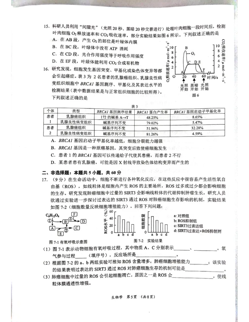 广西省柳州市2025届高三第三次模拟考试生物+答案_2025年3月_250330广西省柳州市2025届高三第三次模拟考试（柳州三模）（全科）