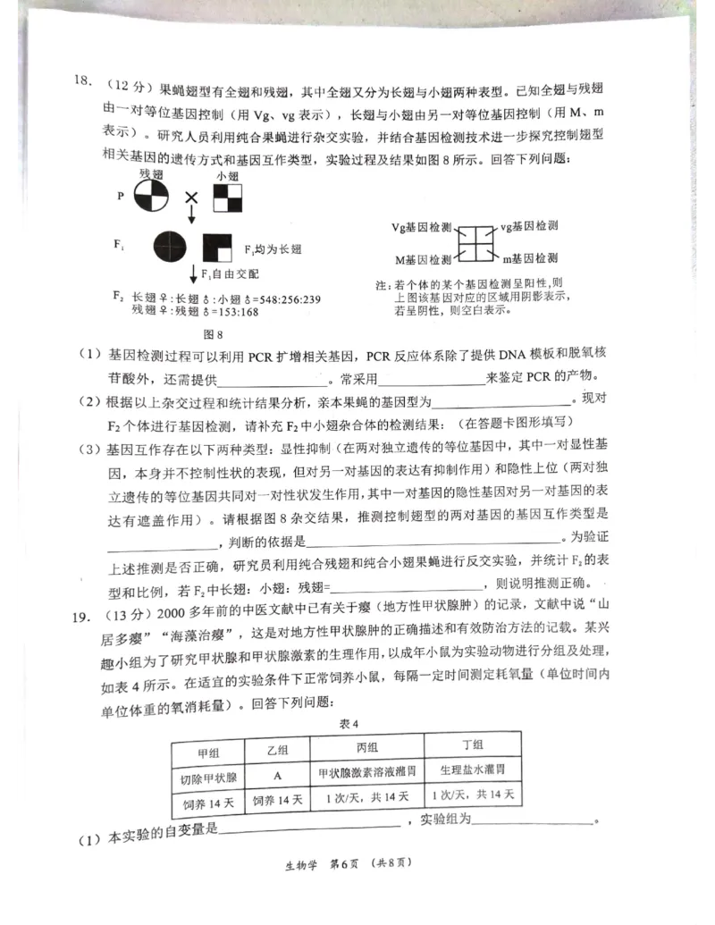 广西省柳州市2025届高三第三次模拟考试生物+答案_2025年3月_250330广西省柳州市2025届高三第三次模拟考试（柳州三模）（全科）