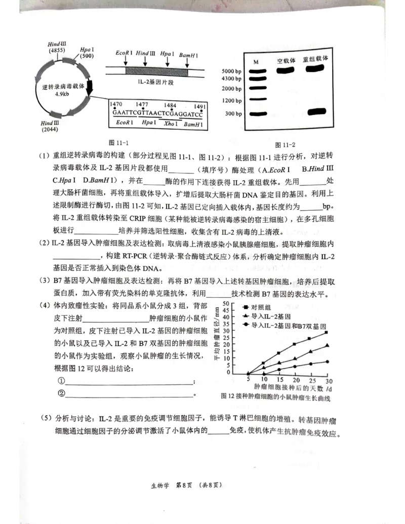 广西省柳州市2025届高三第三次模拟考试生物+答案_2025年3月_250330广西省柳州市2025届高三第三次模拟考试（柳州三模）（全科）