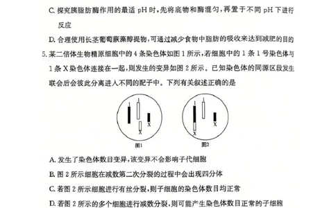 湖南省长沙市雅礼中学2024-2025学年高三上学期第四次月考生物试卷_2025年1月_250101湖南省长沙市雅礼中学2024-2025学年高三上学期月考（四）