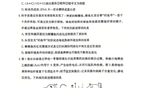 湖南省长沙市雅礼中学2024-2025学年高三上学期第四次月考生物试卷_2025年1月_250101湖南省长沙市雅礼中学2024-2025学年高三上学期月考（四）