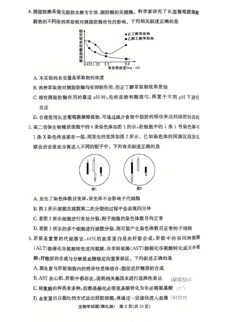 湖南省长沙市雅礼中学2024-2025学年高三上学期第四次月考生物试卷_2025年1月_250101湖南省长沙市雅礼中学2024-2025学年高三上学期月考（四）