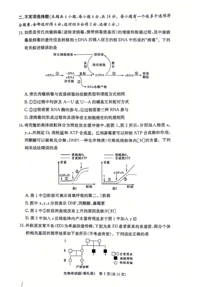 湖南省长沙市雅礼中学2024-2025学年高三上学期第四次月考生物试卷_2025年1月_250101湖南省长沙市雅礼中学2024-2025学年高三上学期月考（四）