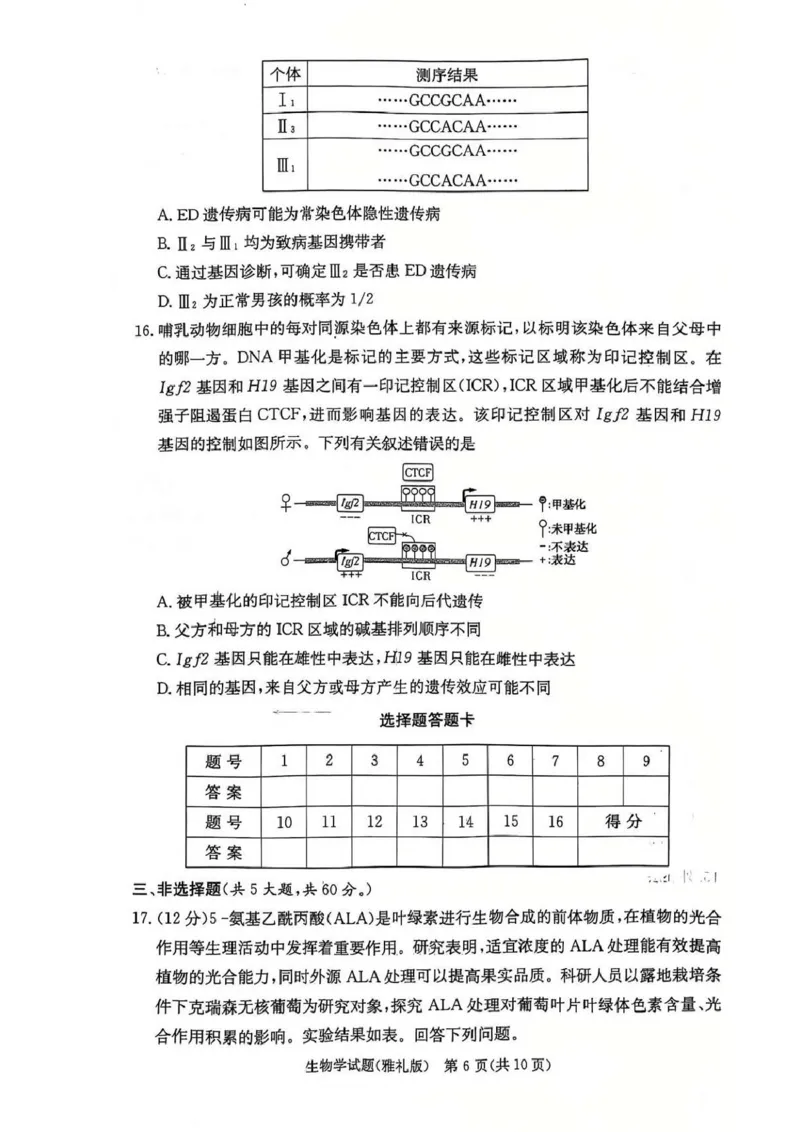 湖南省长沙市雅礼中学2024-2025学年高三上学期第四次月考生物试卷_2025年1月_250101湖南省长沙市雅礼中学2024-2025学年高三上学期月考（四）