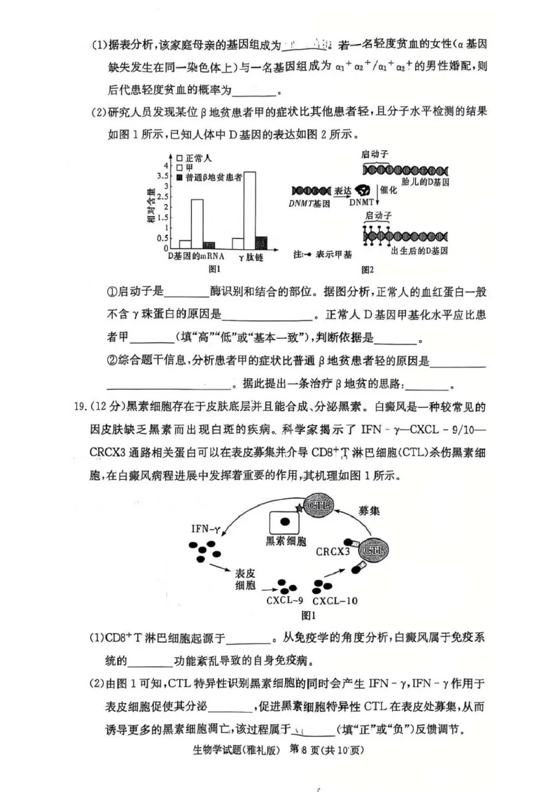 湖南省长沙市雅礼中学2024-2025学年高三上学期第四次月考生物试卷_2025年1月_250101湖南省长沙市雅礼中学2024-2025学年高三上学期月考（四）