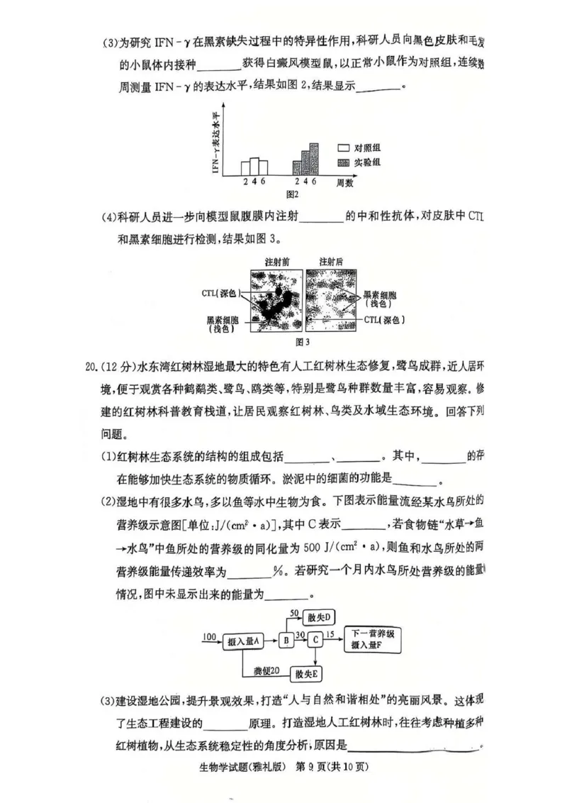 湖南省长沙市雅礼中学2024-2025学年高三上学期第四次月考生物试卷_2025年1月_250101湖南省长沙市雅礼中学2024-2025学年高三上学期月考（四）