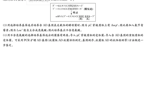 炎德&middot;英才大联考雅礼中学2025届模拟试卷（一）生物答案_2025年5月_250513湖南省炎德&middot;英才大联考雅礼中学2025届模拟试卷（一）（全科）