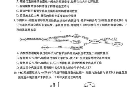 炎德&middot;英才&middot;名校联考联合体2026届高三第一次联考生物_2025年8月_250828湖南省炎德&middot;英才&middot;名校联考联合体2026届高三第一次联考（暨入学检测）（全科）