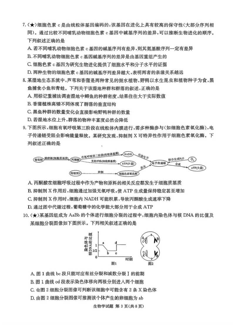 炎德&middot;英才&middot;名校联考联合体2026届高三第一次联考生物_2025年8月_250828湖南省炎德&middot;英才&middot;名校联考联合体2026届高三第一次联考（暨入学检测）（全科）