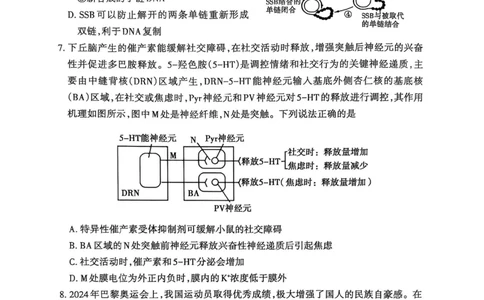 生物试题_2025年3月_250308山东省泰安市2025届高三一轮检测（泰安一模）（全科）_山东省泰安市2025届高三一轮检测（泰安一模）生物