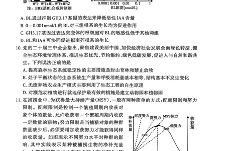 生物试题_2025年3月_250308山东省泰安市2025届高三一轮检测（泰安一模）（全科）_山东省泰安市2025届高三一轮检测（泰安一模）生物