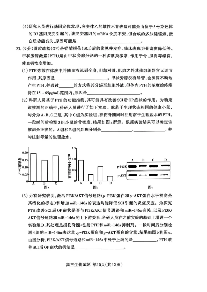 生物试题_2025年3月_250308山东省泰安市2025届高三一轮检测（泰安一模）（全科）_山东省泰安市2025届高三一轮检测（泰安一模）生物