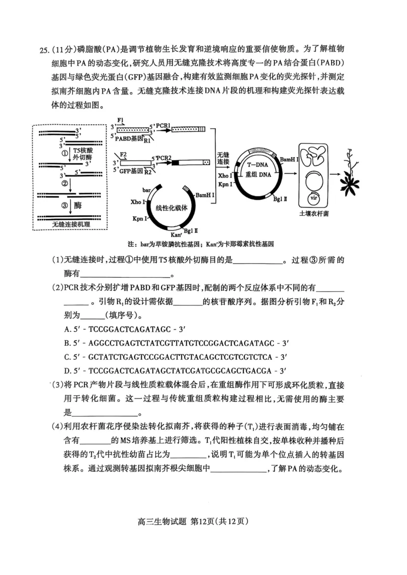 生物试题_2025年3月_250308山东省泰安市2025届高三一轮检测（泰安一模）（全科）_山东省泰安市2025届高三一轮检测（泰安一模）生物