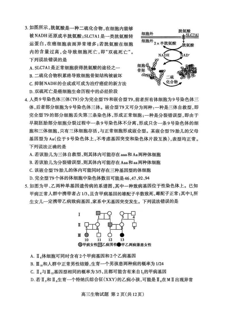 生物试题_2025年3月_250308山东省泰安市2025届高三一轮检测（泰安一模）（全科）_山东省泰安市2025届高三一轮检测（泰安一模）生物