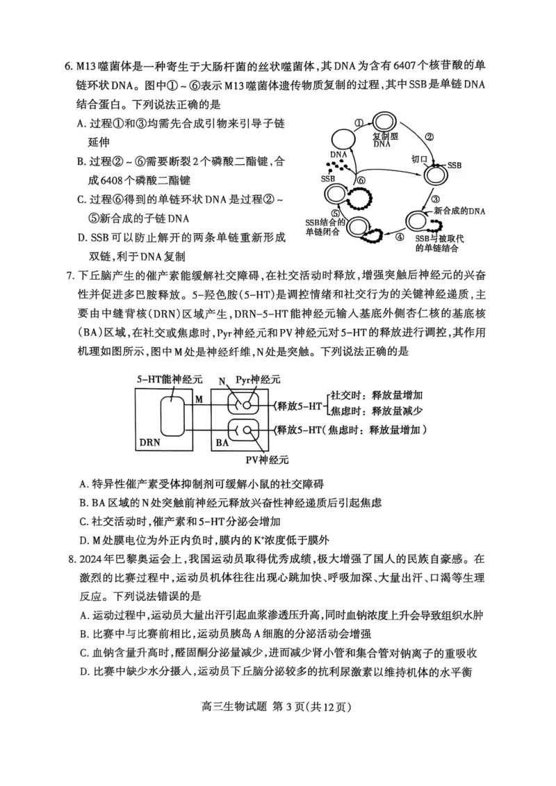 生物试题_2025年3月_250308山东省泰安市2025届高三一轮检测（泰安一模）（全科）_山东省泰安市2025届高三一轮检测（泰安一模）生物