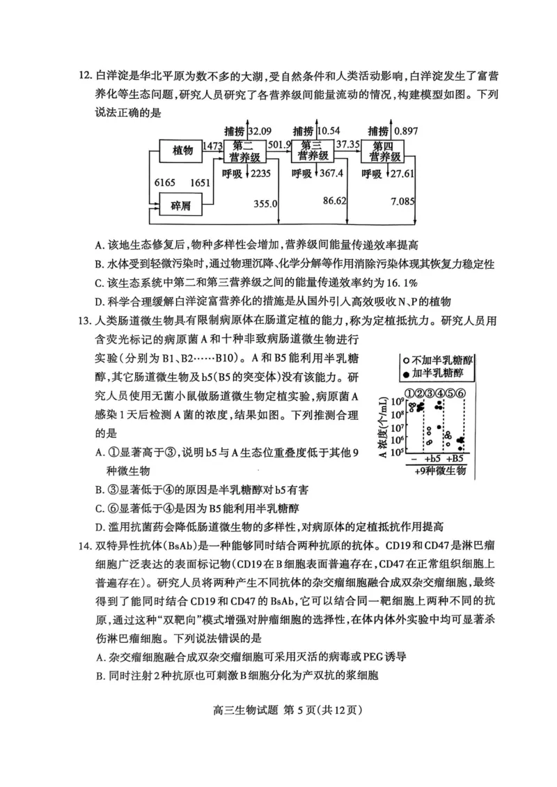 生物试题_2025年3月_250308山东省泰安市2025届高三一轮检测（泰安一模）（全科）_山东省泰安市2025届高三一轮检测（泰安一模）生物