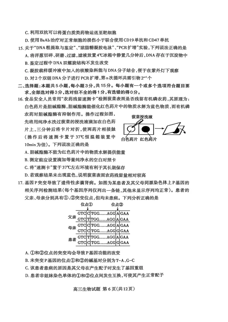 生物试题_2025年3月_250308山东省泰安市2025届高三一轮检测（泰安一模）（全科）_山东省泰安市2025届高三一轮检测（泰安一模）生物