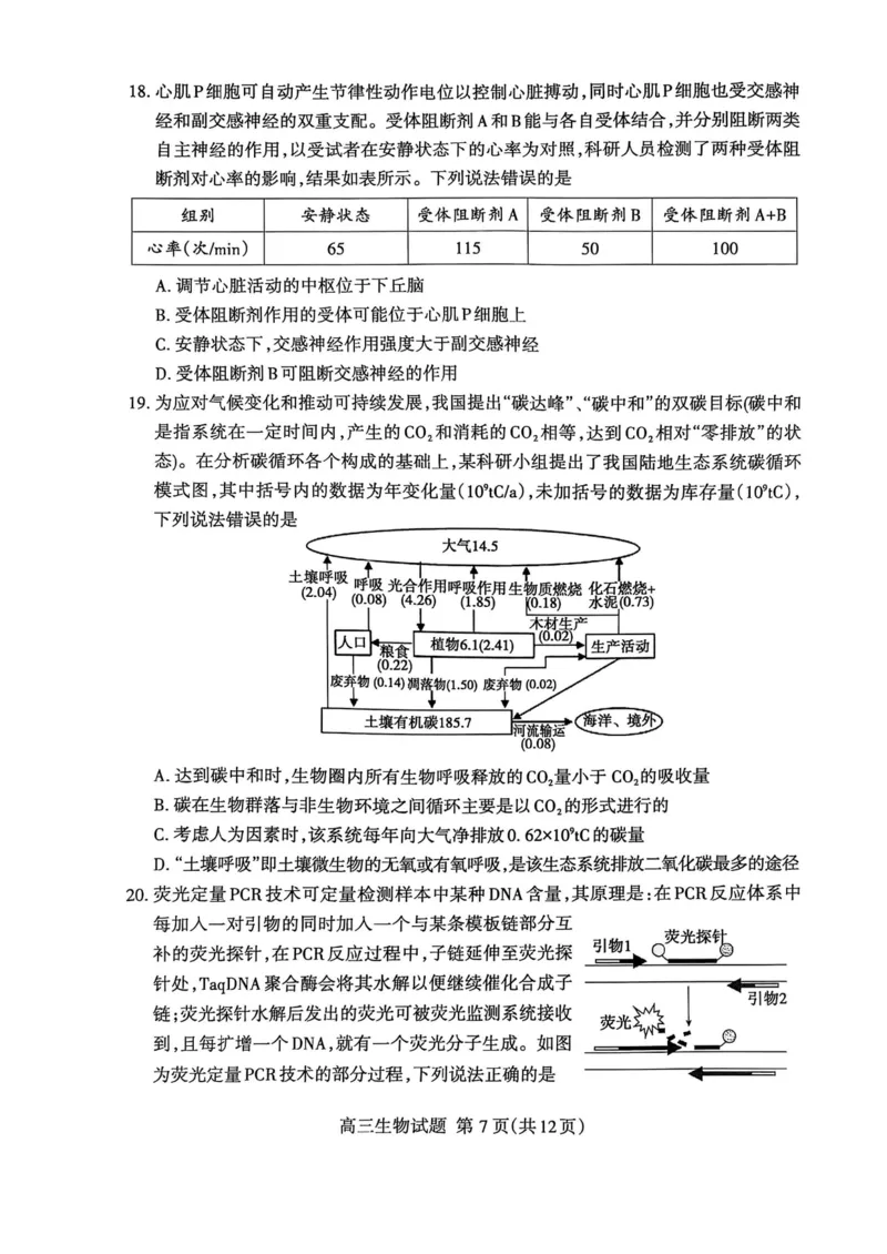 生物试题_2025年3月_250308山东省泰安市2025届高三一轮检测（泰安一模）（全科）_山东省泰安市2025届高三一轮检测（泰安一模）生物