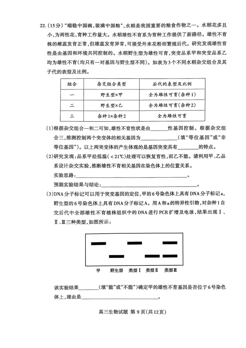 生物试题_2025年3月_250308山东省泰安市2025届高三一轮检测（泰安一模）（全科）_山东省泰安市2025届高三一轮检测（泰安一模）生物