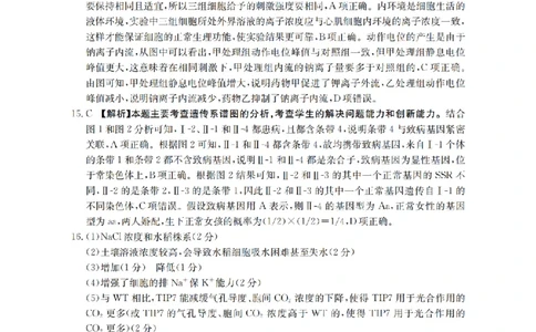 四川省金太阳2026届高三9月开学联考（26-10C）生物答案_2025年9月_250910金太阳&middot;四川省2026届高三9月开学联考（26-10C）（全科）