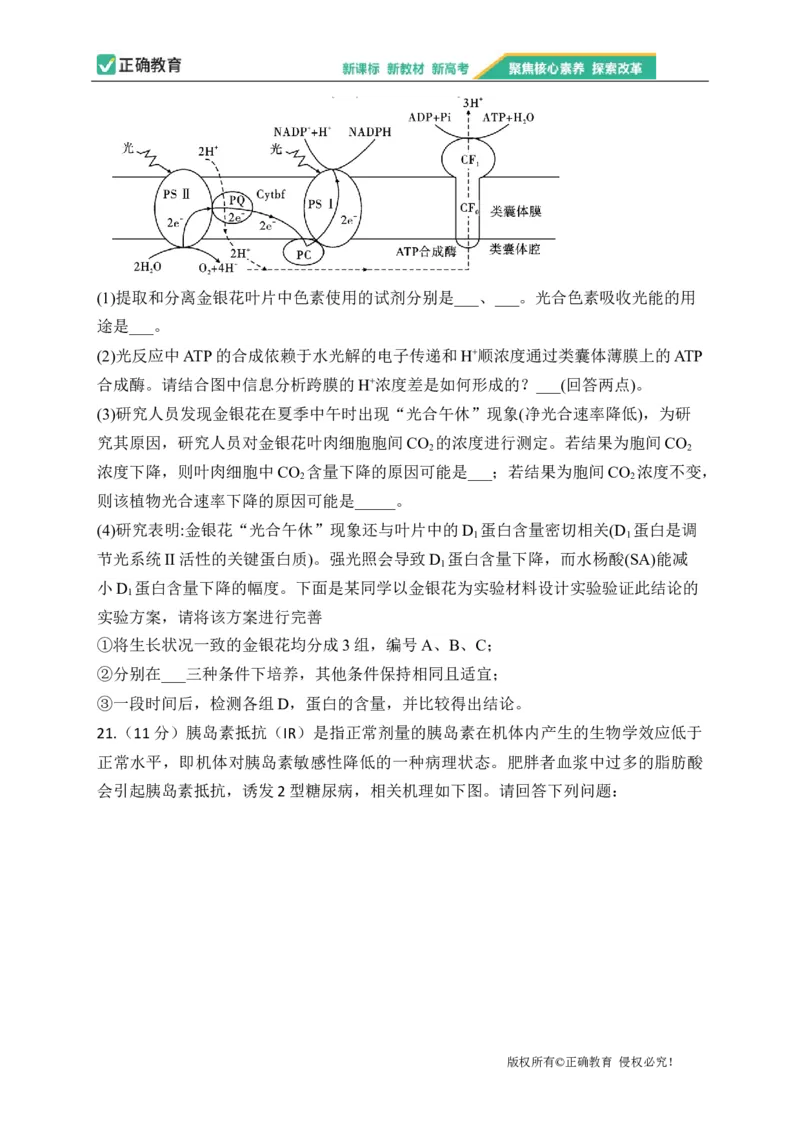 2023届新高考生物金榜猜题卷江苏专版_2023高考押题卷_正确教育金榜猜题卷_（新高考）正确教育丨金榜猜题卷_新高考生物
