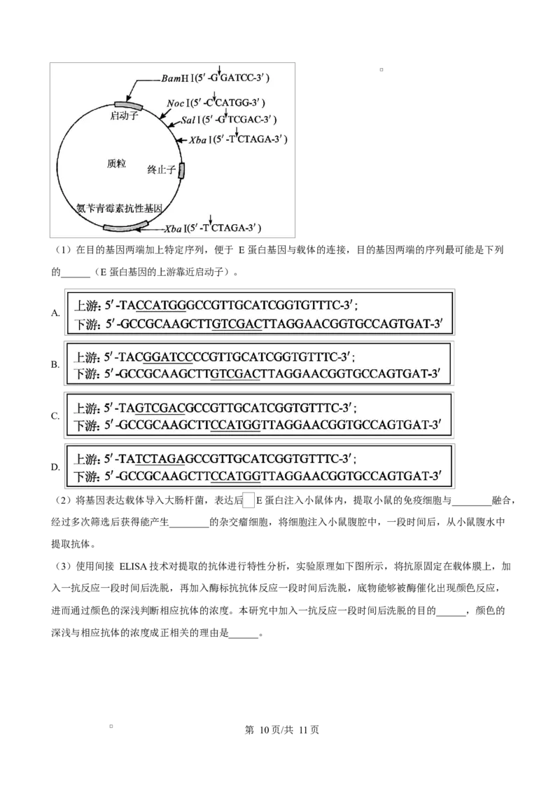 福建省厦门双十中学2026届高三（上）第一次月考+生物_2025年10月_251020福建省厦门双十中学2026届高三（上）第一次月考（全科）